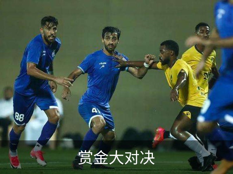 关于赏金大对决